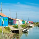 Découvrez l’île d’Oléron, un véritable petit paradis lumineux où la nature règne en maître