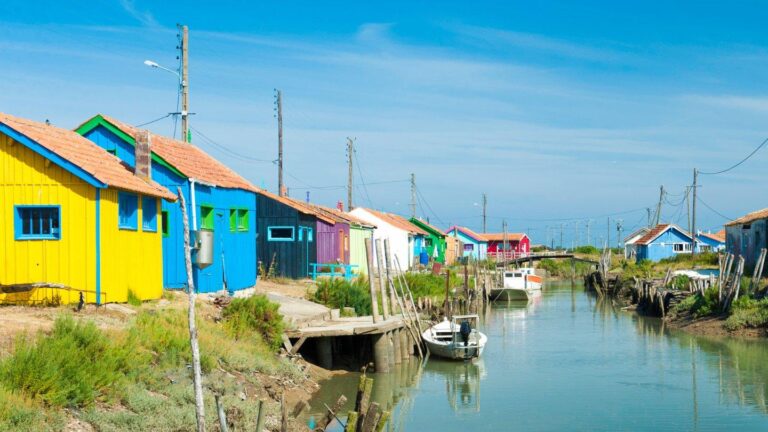 Découvrez l’île d’Oléron, un véritable petit paradis lumineux où la nature règne en maître